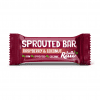 Hello Raw Raspberry & Coconut Sprouted Bar