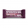 Hello Raw Vanilla & Fig Sprouted Bar